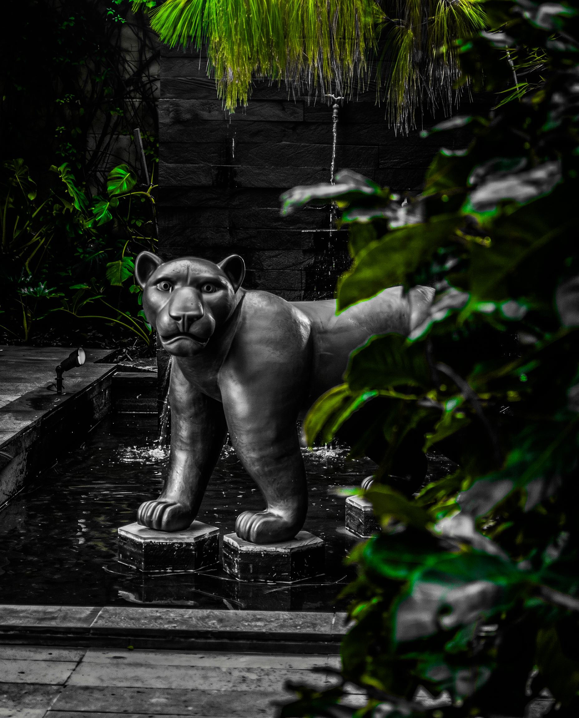 Jardín del hotel con fuente de jaguar